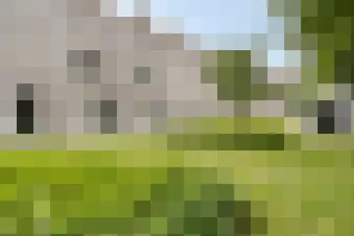 Dahliahof 22 Tilburg thumbnail 6
