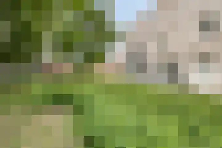 Dahliahof 22 Tilburg thumbnail 7