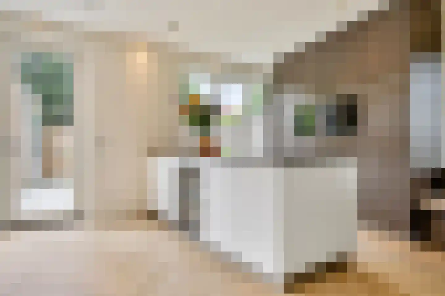 Dahliahof 25 Tilburg thumbnail 11