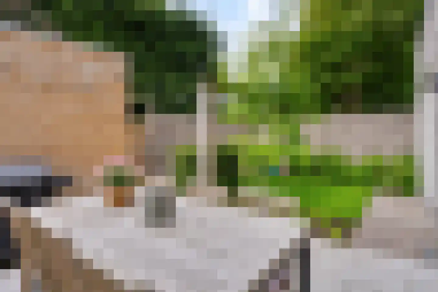 Dahliahof 25 Tilburg thumbnail 39