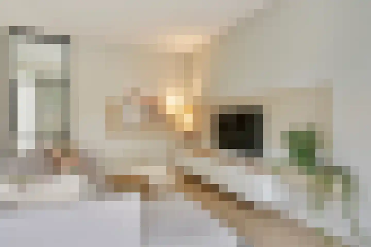 Dahliahof 25 Tilburg thumbnail 4