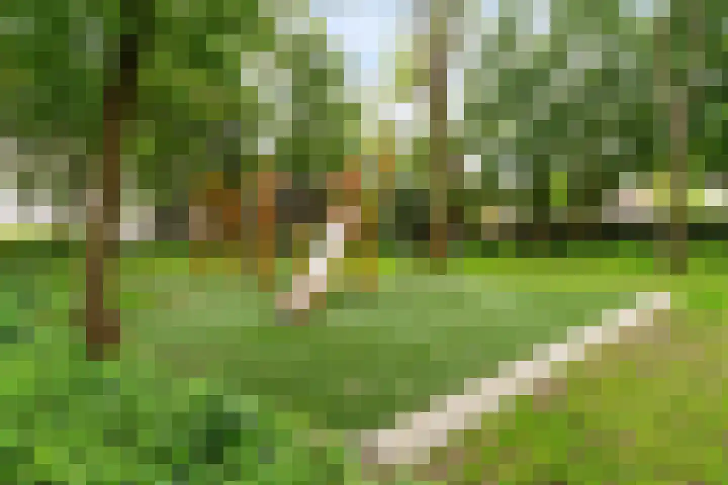 Dahliahof 25 Tilburg thumbnail 52