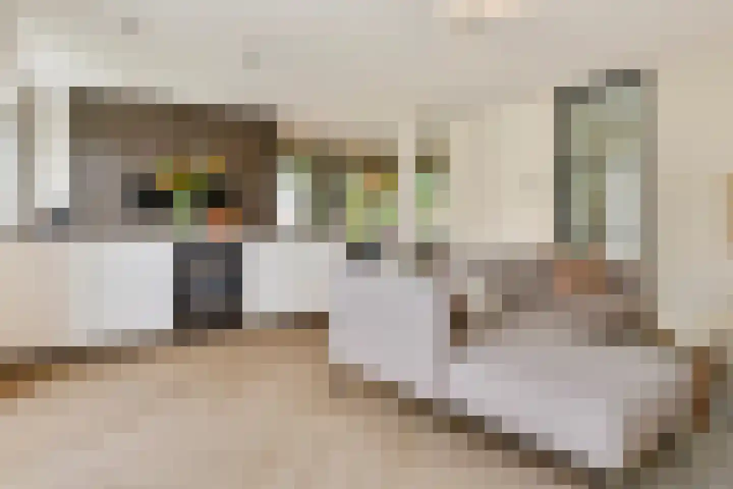 Dahliahof 25 Tilburg thumbnail 8