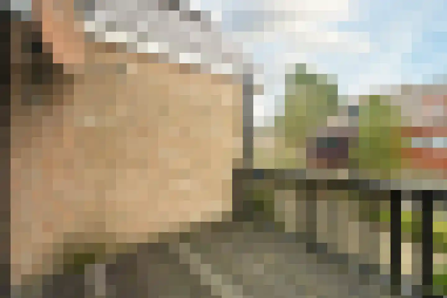Dahliahof 26 Wassenaar thumbnail 43