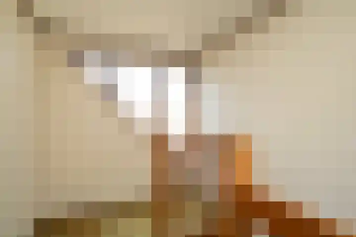 Dahliahof 4 Wassenaar thumbnail 16