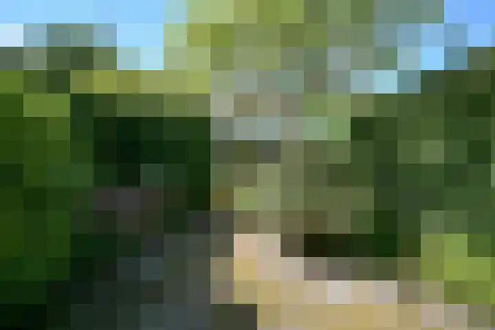 Dahliahof 4 Wassenaar thumbnail 20