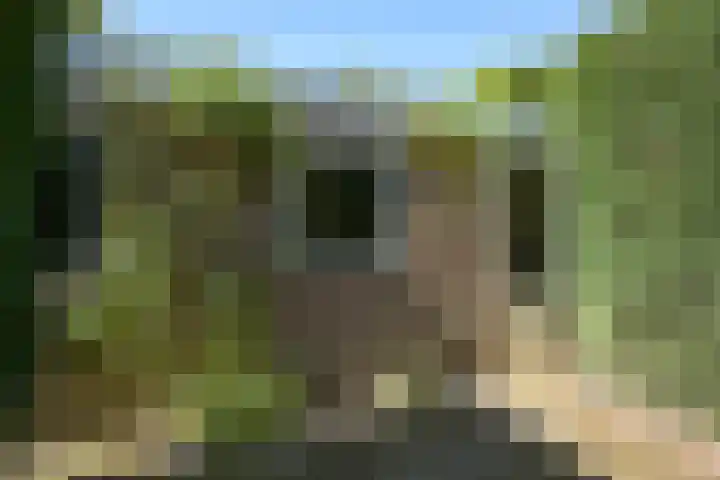Dahliahof 4 Wassenaar thumbnail 21