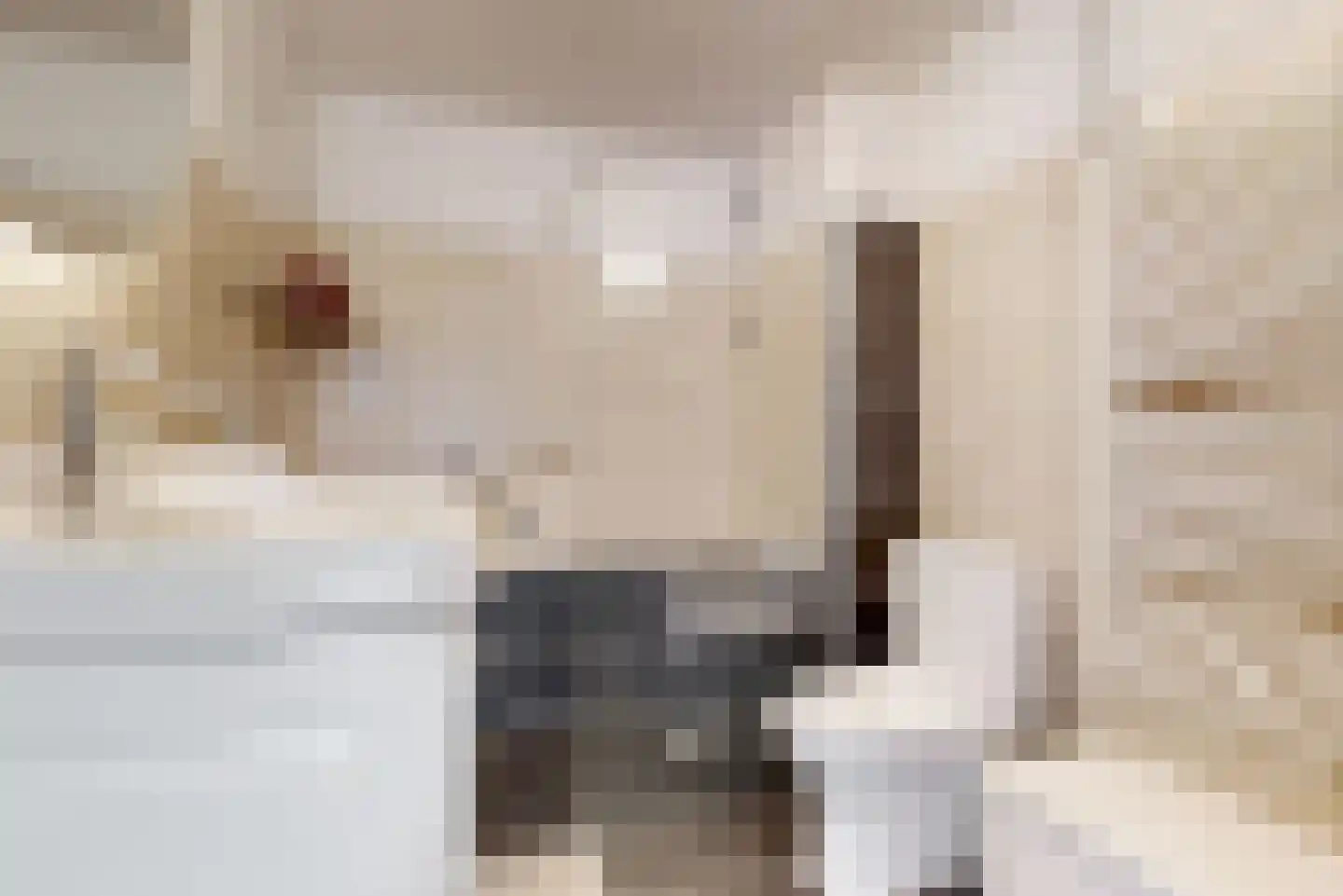 Dahlialaan 10 Oegstgeest thumbnail 15