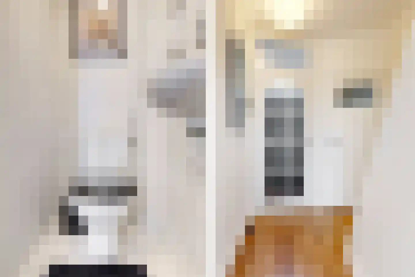 Dahlialaan 10 Oegstgeest thumbnail 23