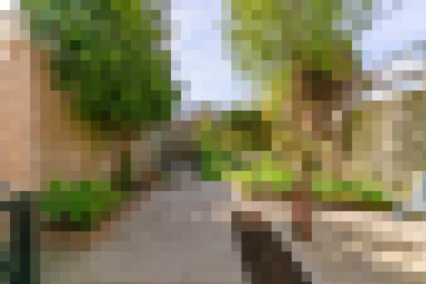 Dahlialaan 10 Oegstgeest thumbnail 30