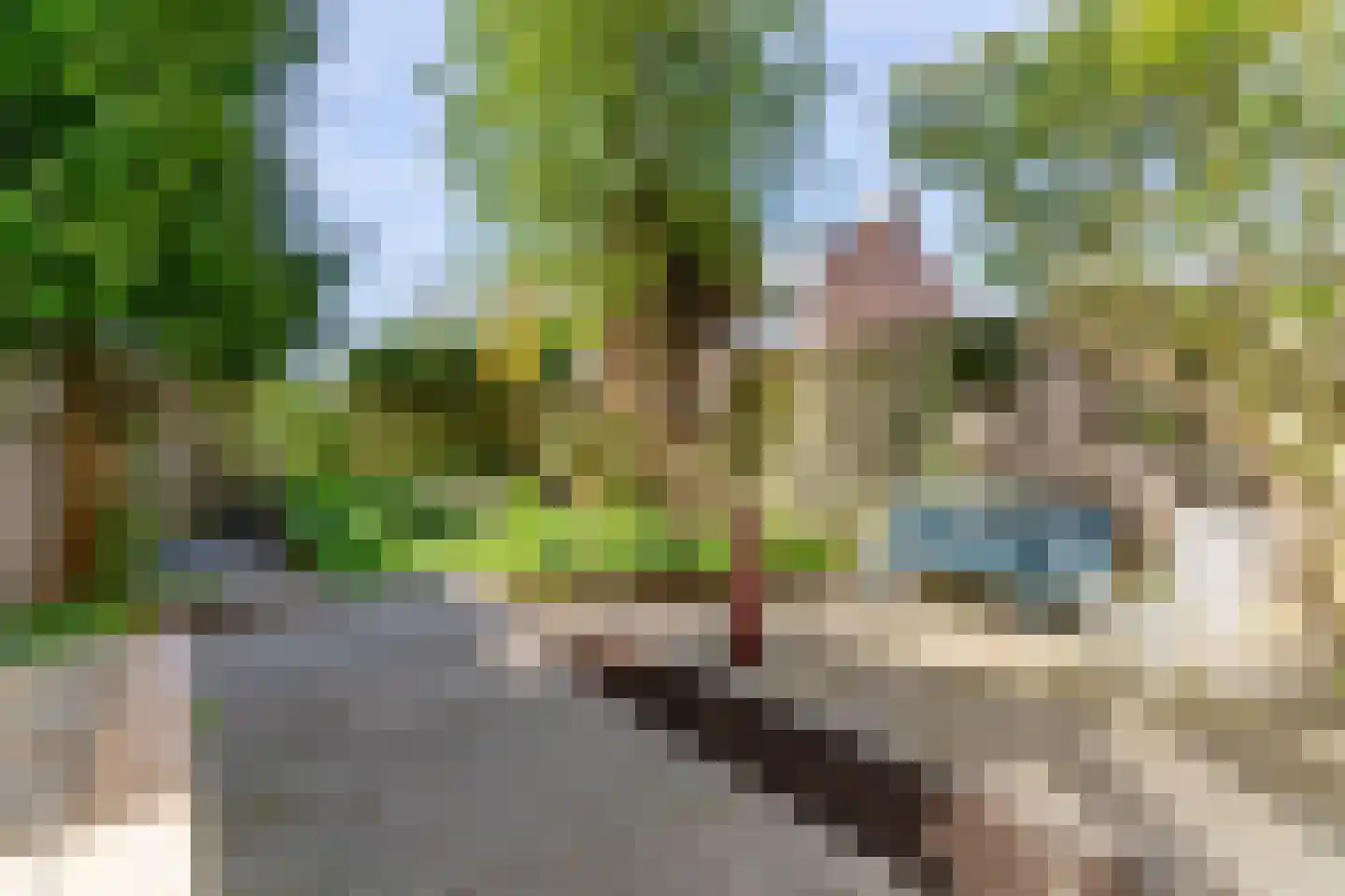 Dahlialaan 10 Oegstgeest thumbnail 31