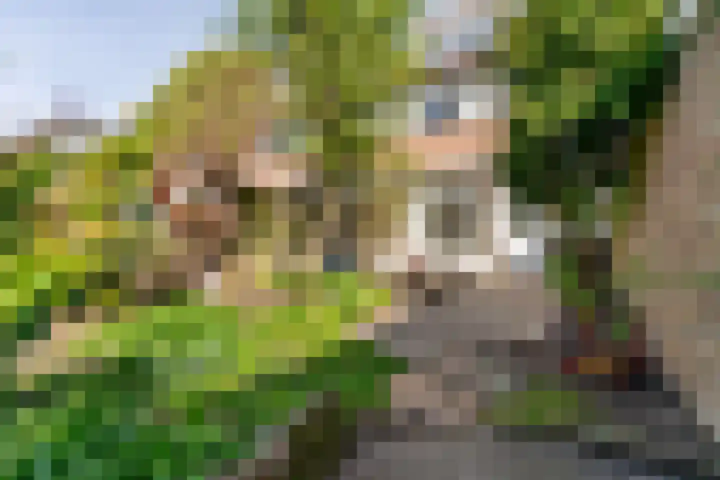 Dahlialaan 10 Oegstgeest thumbnail 32