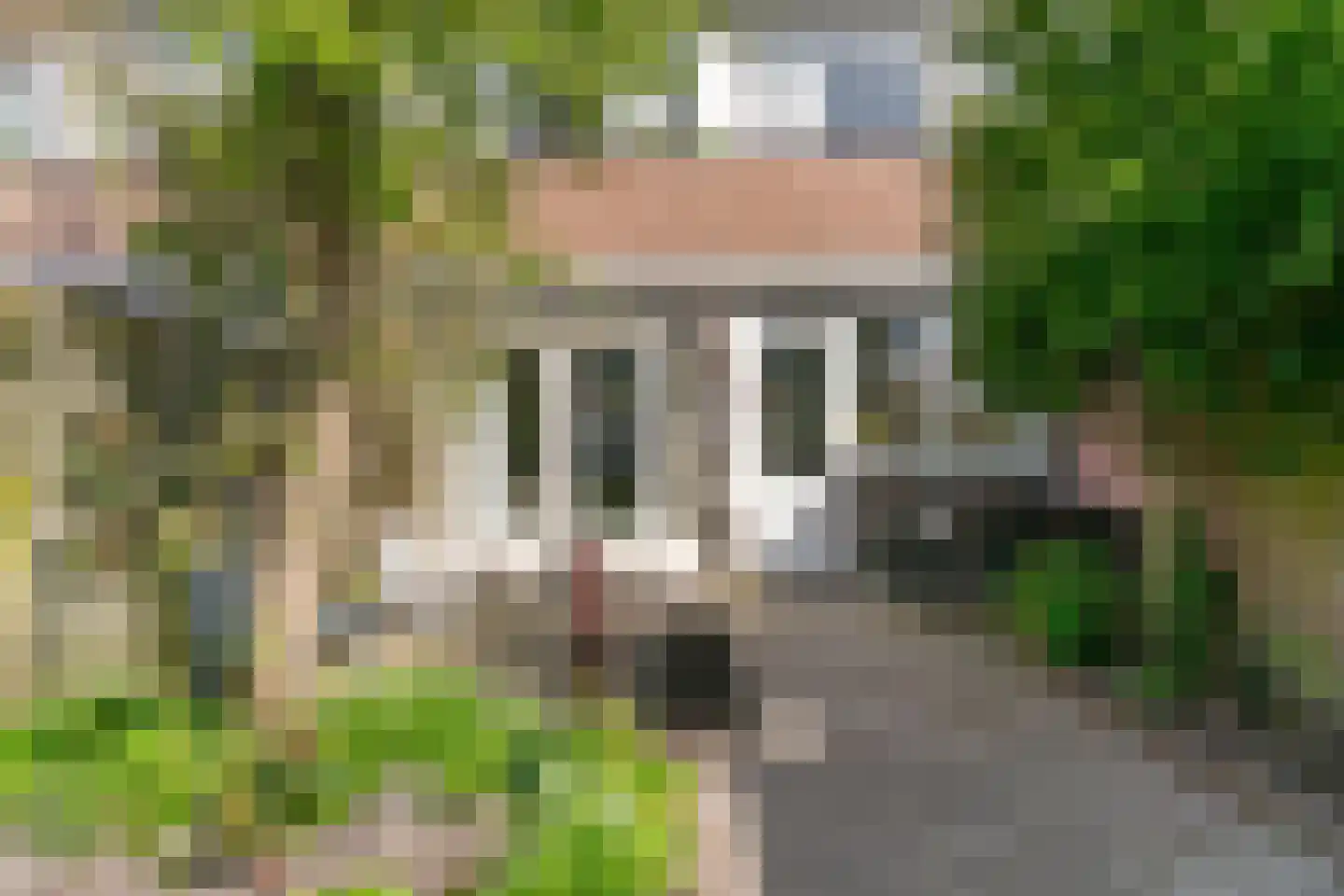 Dahlialaan 10 Oegstgeest thumbnail 33