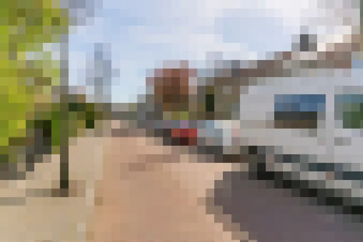 Dahlialaan 10 Oegstgeest thumbnail 35
