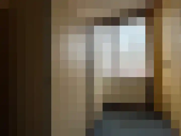 Dahlialaan 12 Winkel thumbnail 12