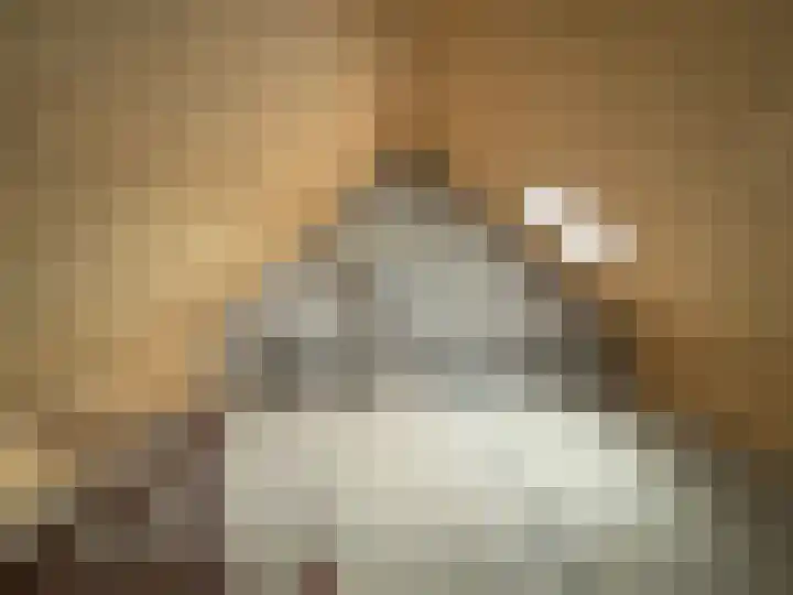 Dahlialaan 12 Winkel thumbnail 15
