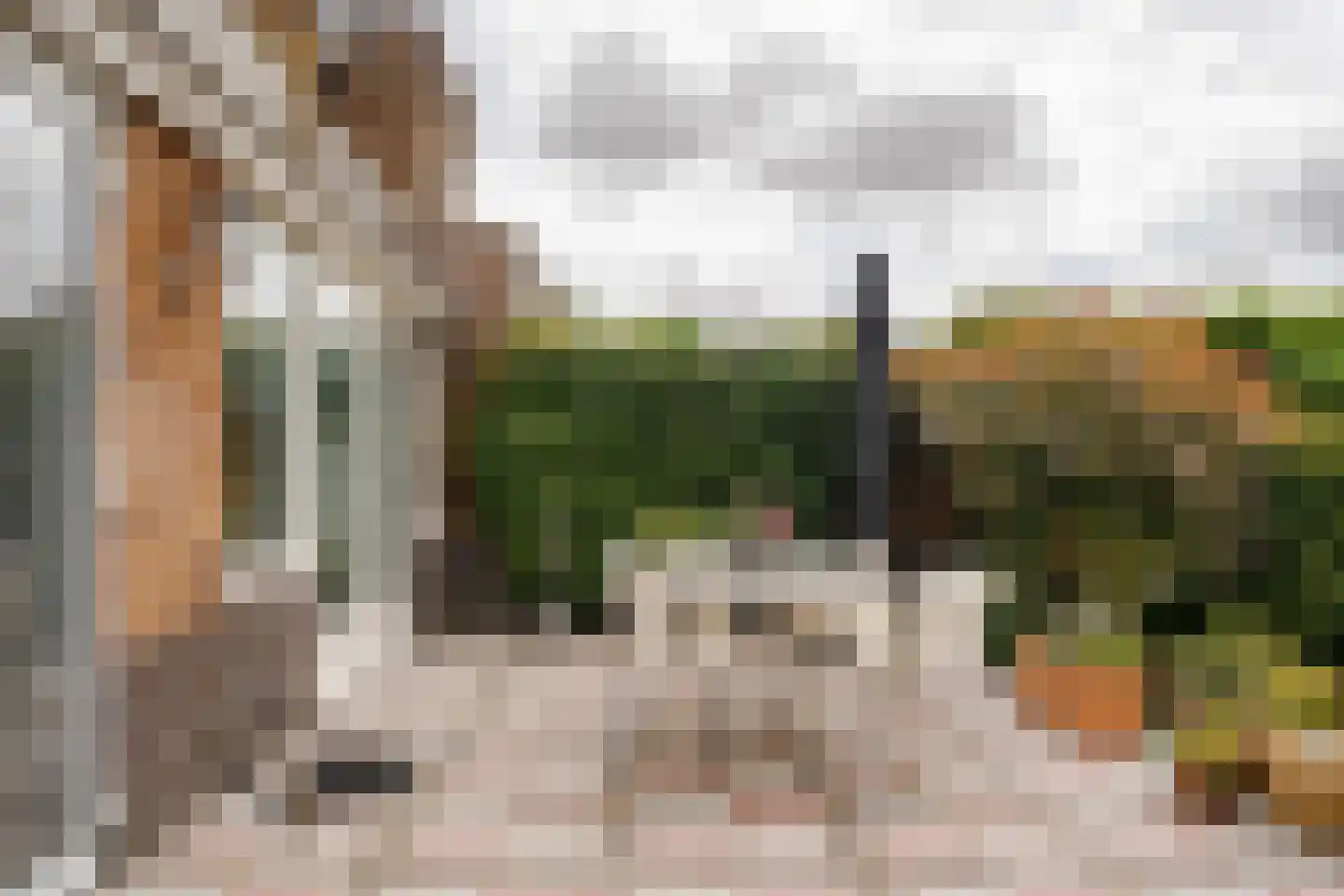 Dahlialaan 14 Aerdenhout thumbnail 28