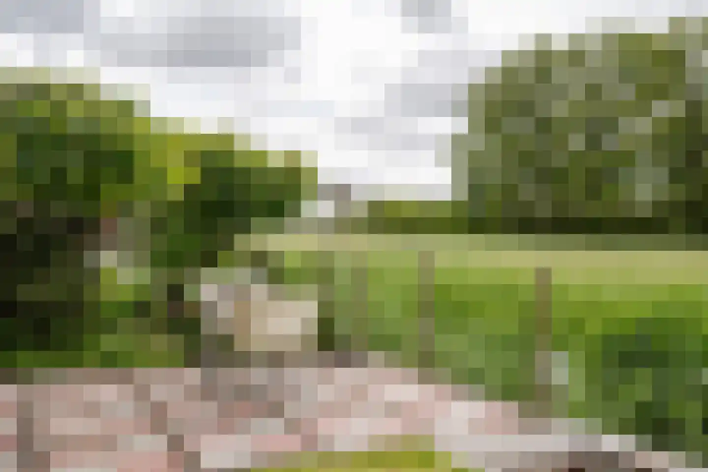 Dahlialaan 14 Aerdenhout thumbnail 31