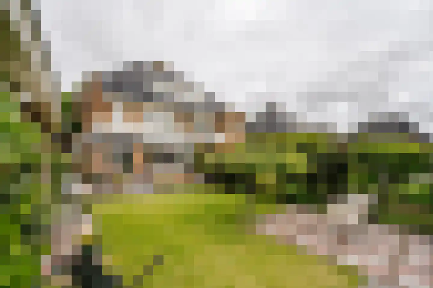 Dahlialaan 14 Aerdenhout thumbnail 33