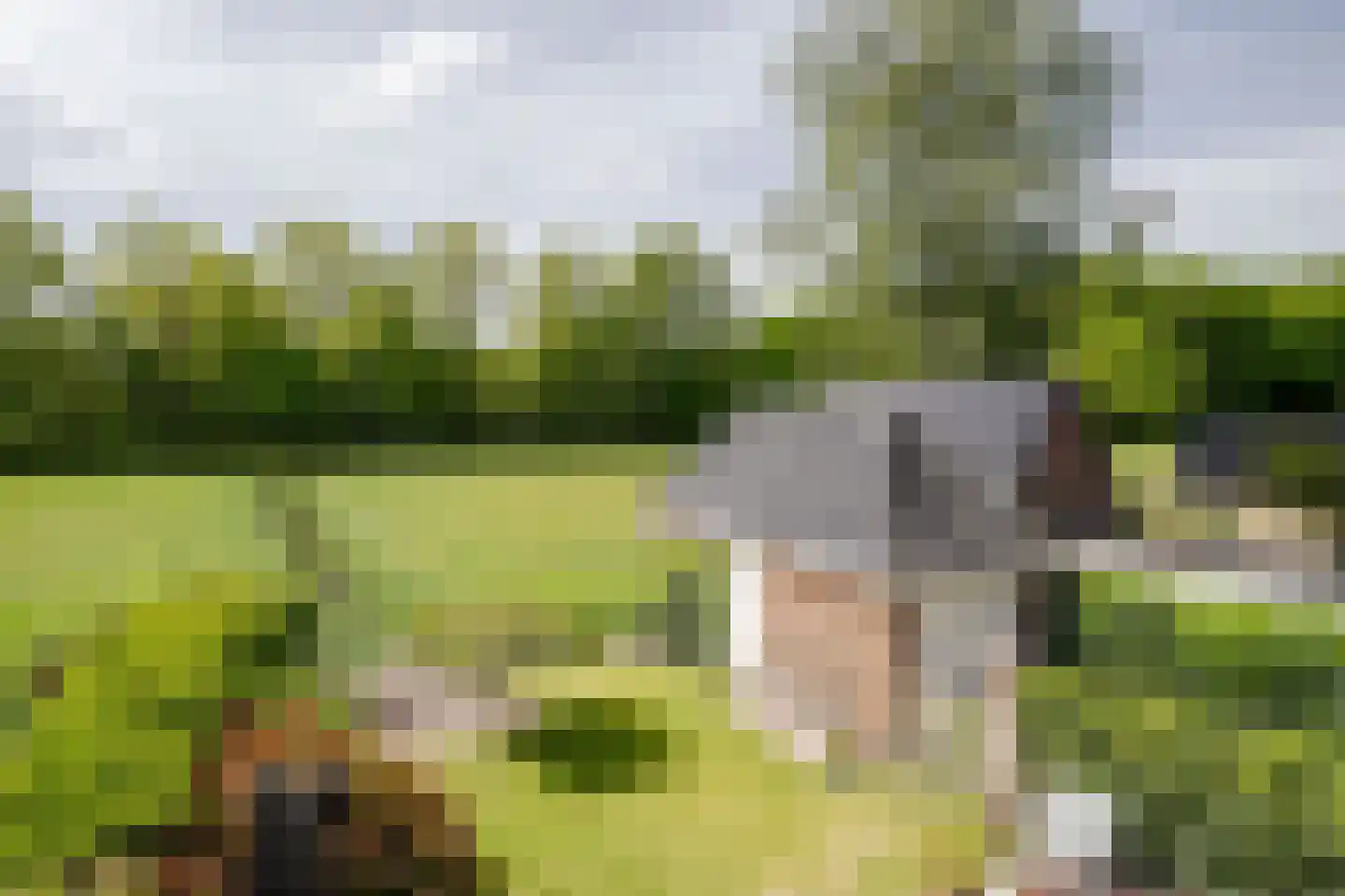 Dahlialaan 14 Aerdenhout thumbnail 44