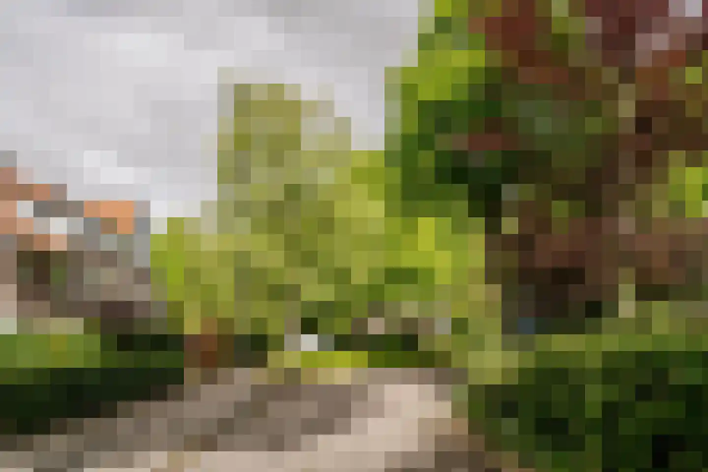 Dahlialaan 14 Aerdenhout thumbnail 69