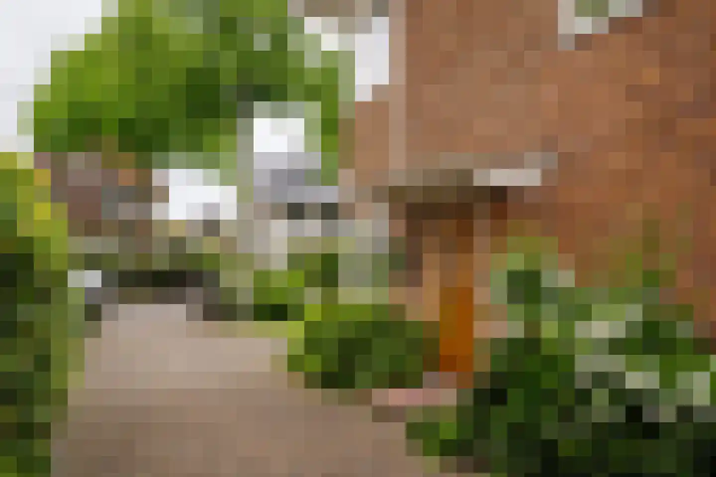 Dahlialaan 14 Aerdenhout thumbnail 7