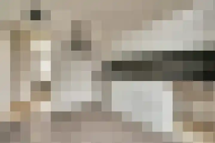 Dahlialaan 14 Yerseke thumbnail 10