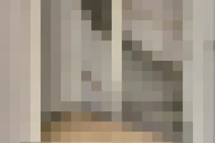 Dahlialaan 14 Yerseke thumbnail 11