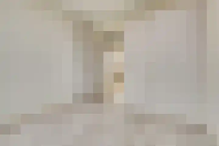 Dahlialaan 14 Yerseke thumbnail 12