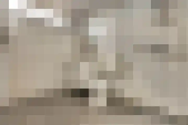 Dahlialaan 14 Yerseke thumbnail 18