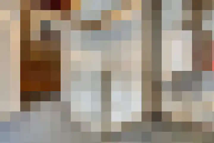 Dahlialaan 14 Yerseke thumbnail 19