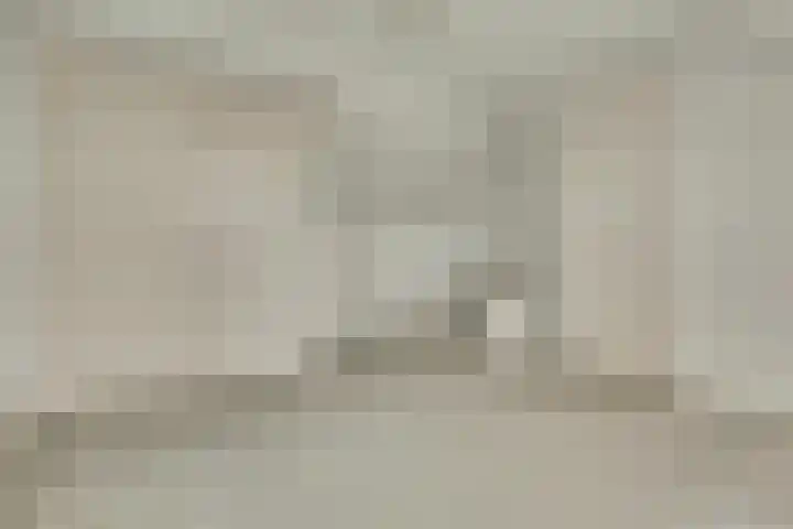 Dahlialaan 14 Yerseke thumbnail 20