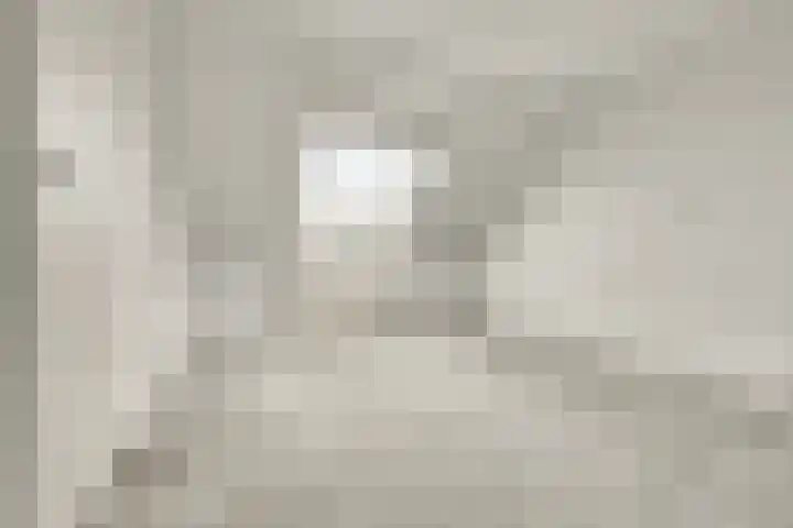 Dahlialaan 14 Yerseke thumbnail 21