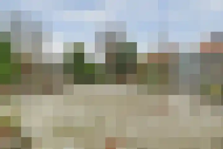 Dahlialaan 14 Yerseke thumbnail 24