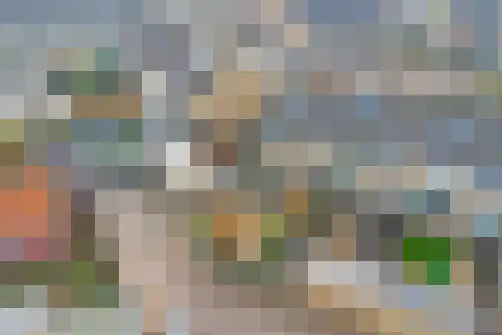 Dahlialaan 14 Yerseke thumbnail 33