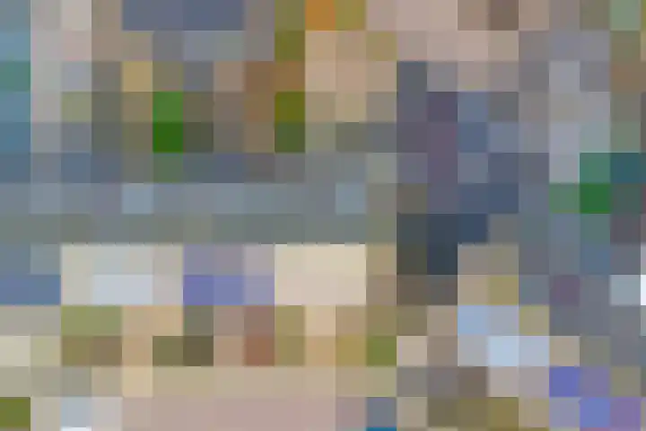 Dahlialaan 14 Yerseke thumbnail 34