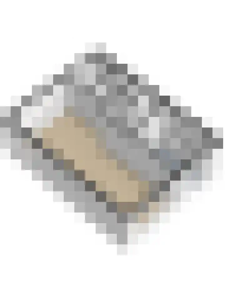 Dahlialaan 14 Yerseke thumbnail 41