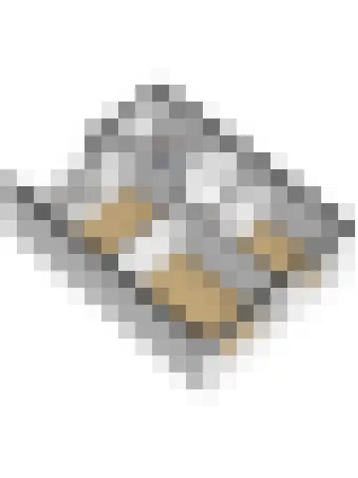 Dahlialaan 14 Yerseke thumbnail 42