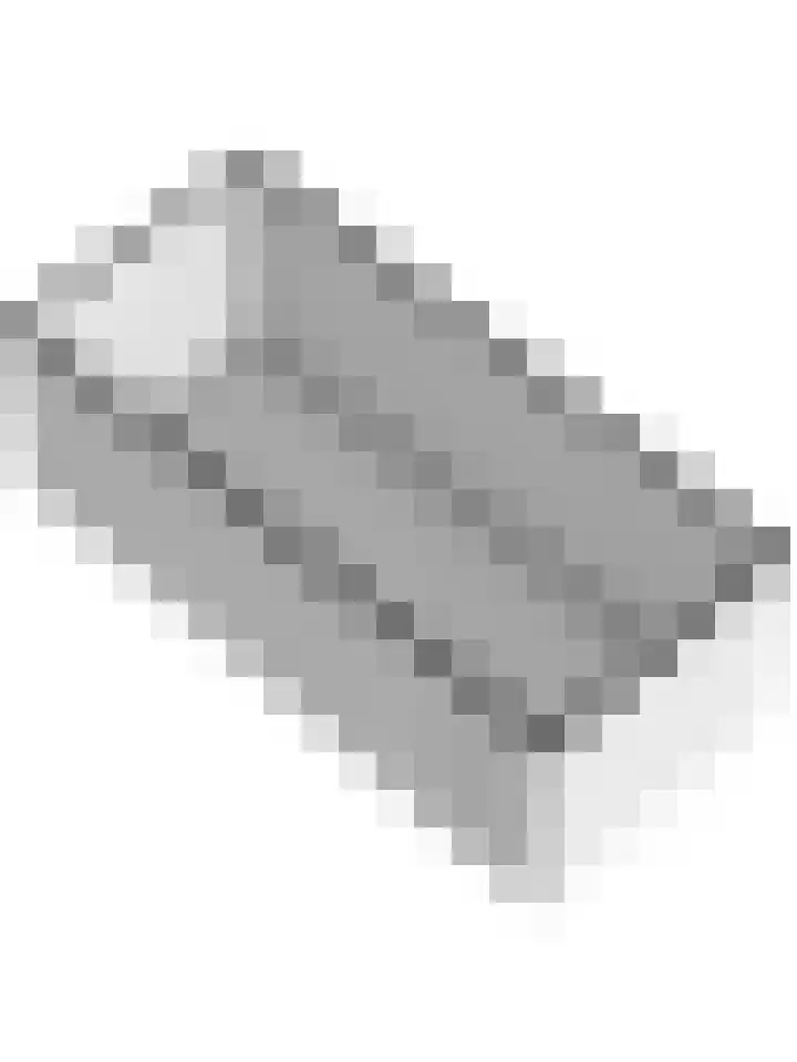 Dahlialaan 14 Yerseke thumbnail 44