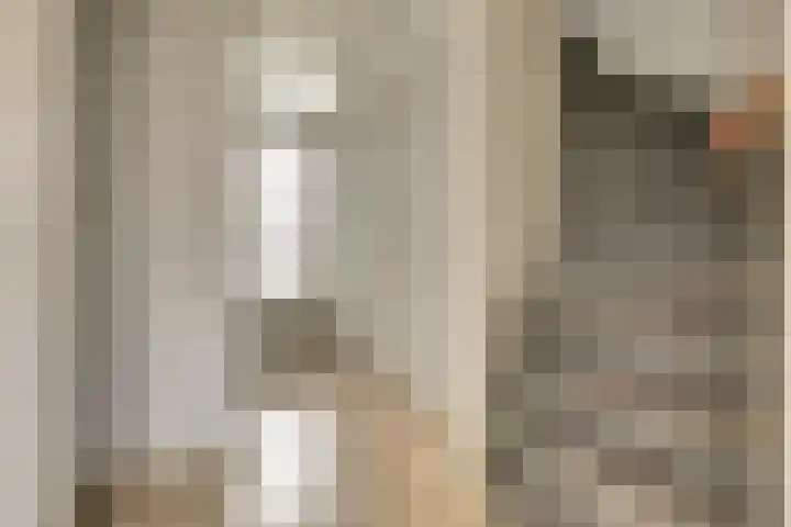 Dahlialaan 14 Yerseke thumbnail 6