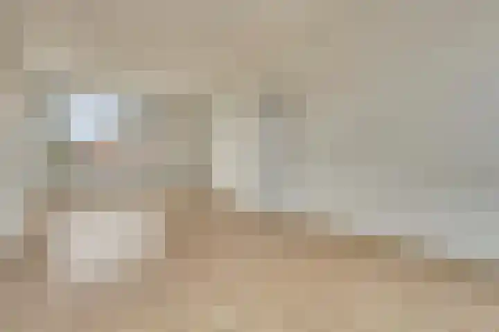 Dahlialaan 14 Yerseke thumbnail 7