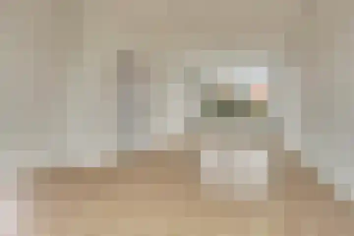 Dahlialaan 14 Yerseke thumbnail 8