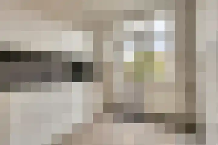 Dahlialaan 14 Yerseke thumbnail 9