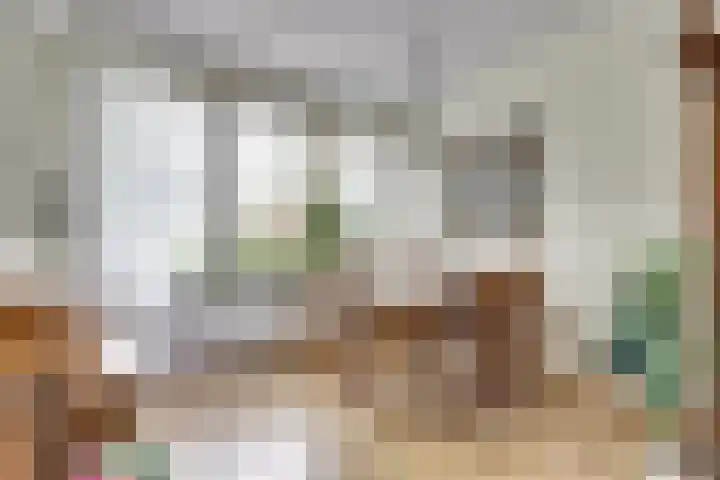 Dahlialaan 18 Yerseke thumbnail 11