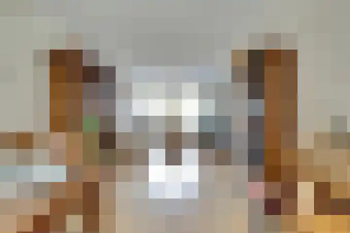 Dahlialaan 18 Yerseke thumbnail 12