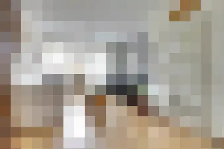 Dahlialaan 18 Yerseke thumbnail 13