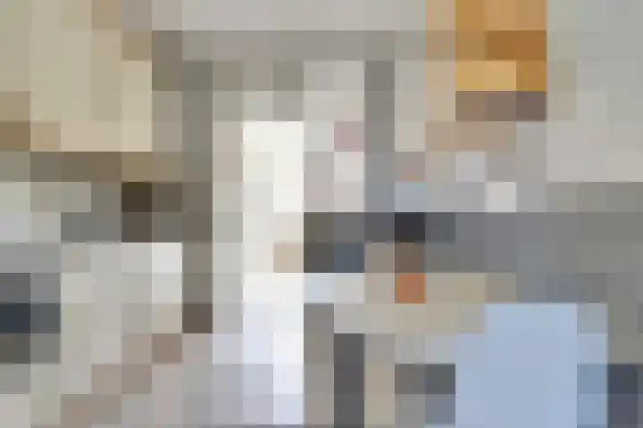 Dahlialaan 18 Yerseke thumbnail 14