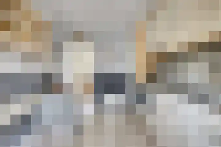 Dahlialaan 18 Yerseke thumbnail 15