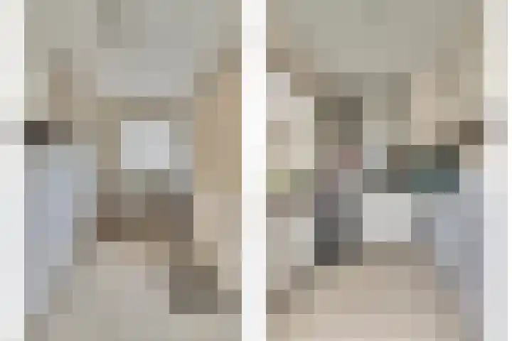 Dahlialaan 18 Yerseke thumbnail 16