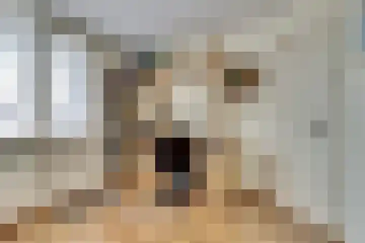 Dahlialaan 18 Yerseke thumbnail 17